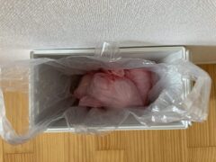 おむつ ゴミ箱 代用 無印 100均