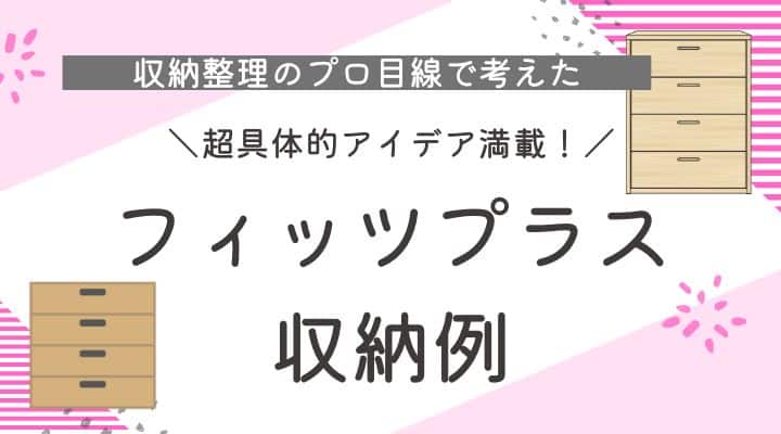 フィッツプラス収納例