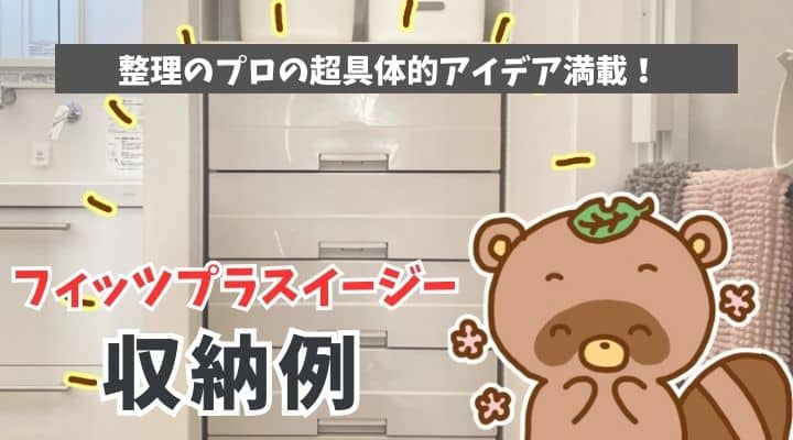 フィッツプラスイージー収納例