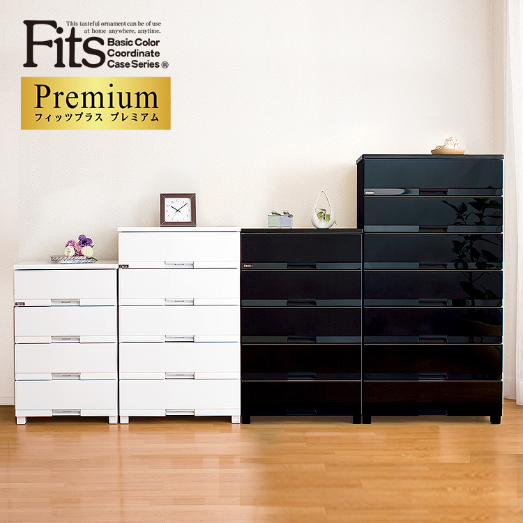 フィッツプラス　プレミアム