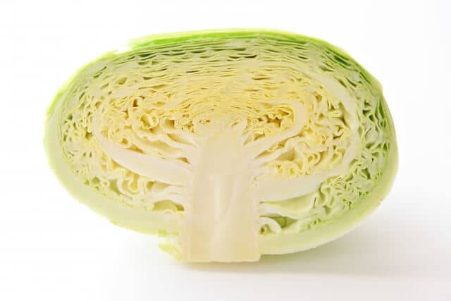キャベツ 半玉