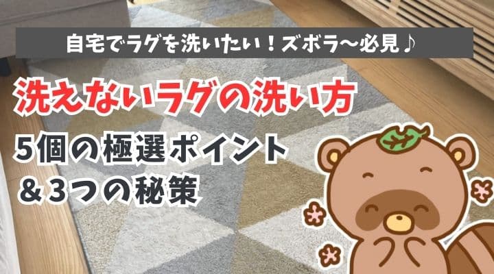 洗えないラグの洗い方大発見！極選ポイントとズボラ～向け秘策